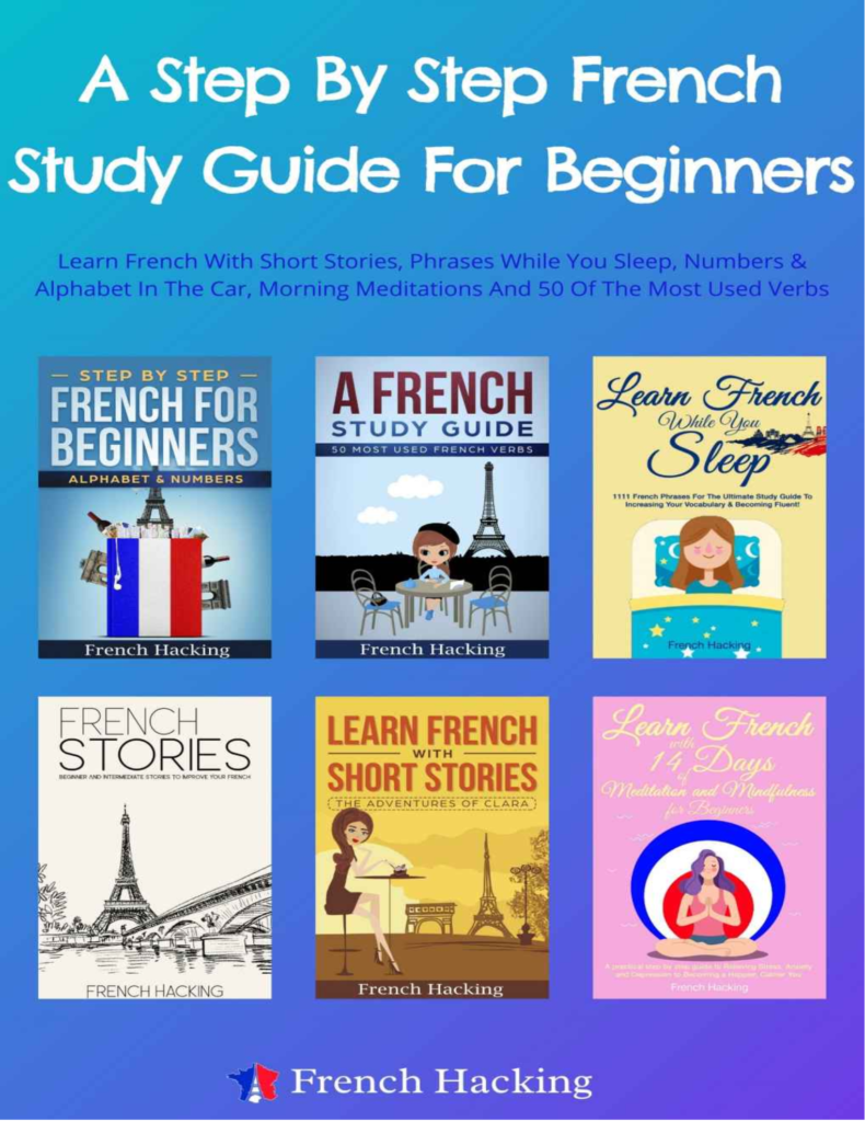 Rich Results on Google's SERP when searching for 'A Step By Step French Study Guide For Beginners Book'