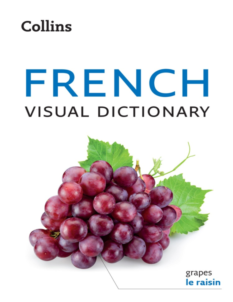 Rich Results on Google's SERP when searching for 'Collins French Visual Dictionary Book'