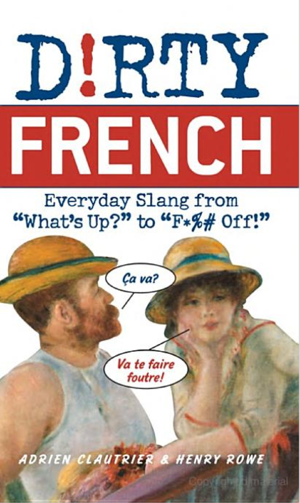 Rich Results on Google's SERP when searching for 'Dirty French Everyday Slang Book'