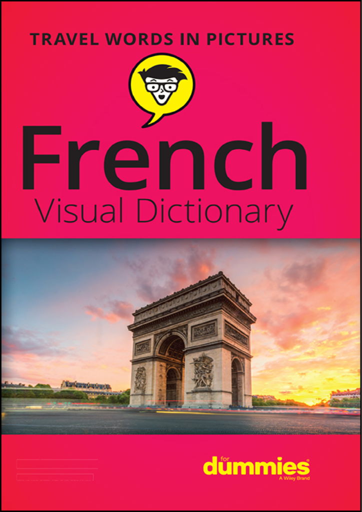 Rich Results on Google's SERP when searching for 'French Visual Dictionary For Dummies Book'