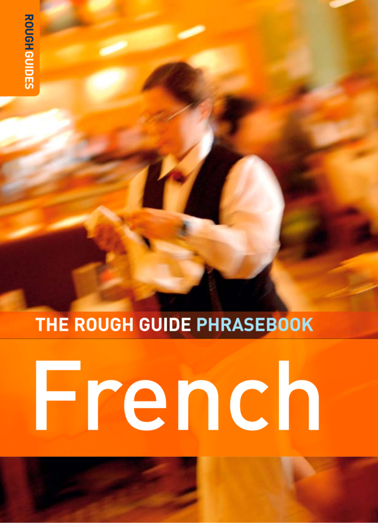 Rich Results on Google's SERP when searching for 'The Rough Guide to French Dictionary Phrasebook'